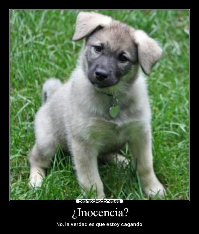 ¿Inocencia? - 