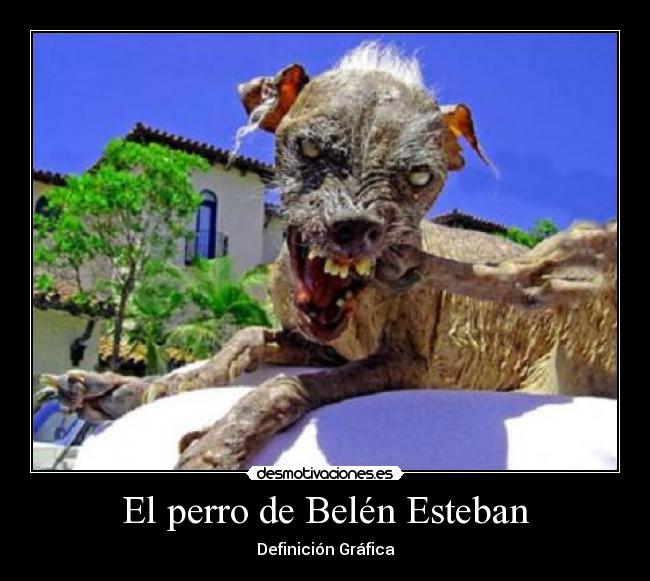 El perro de Belén Esteban - 