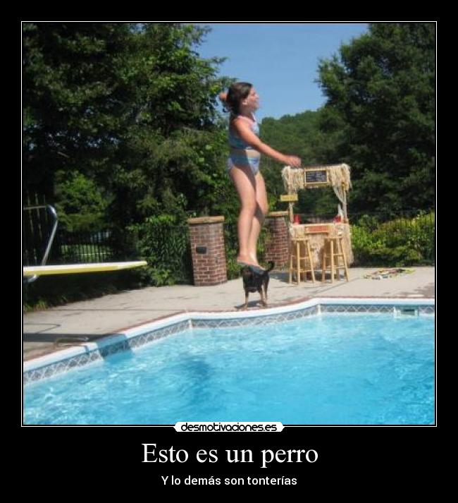 Esto es un perro -