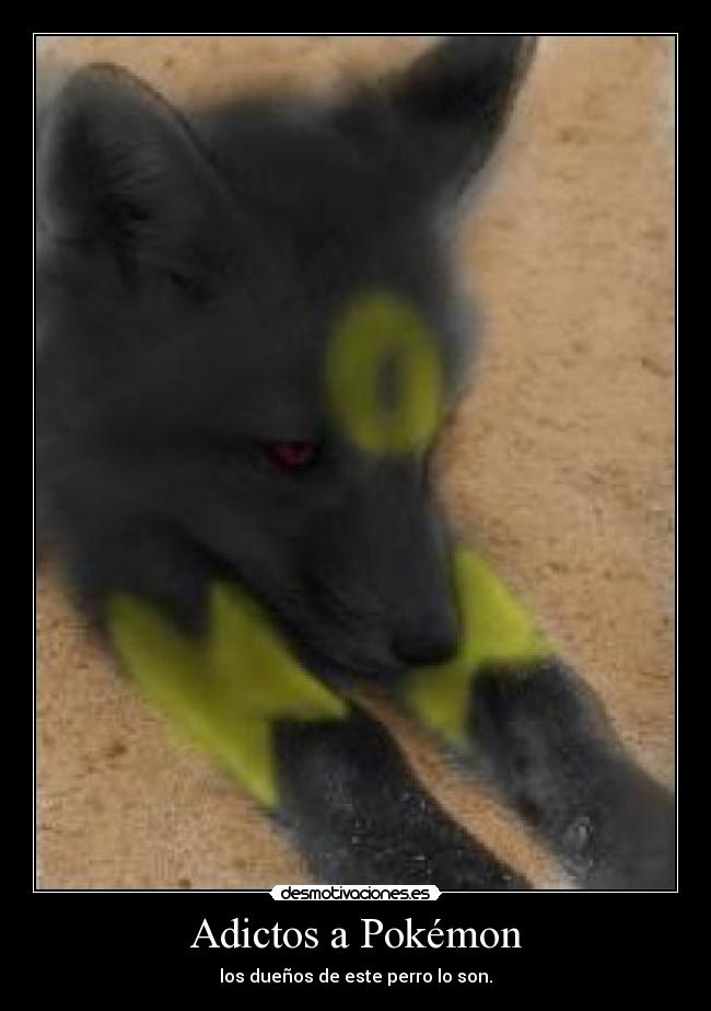 Adictos a Pokémon - los dueños de este perro lo son.