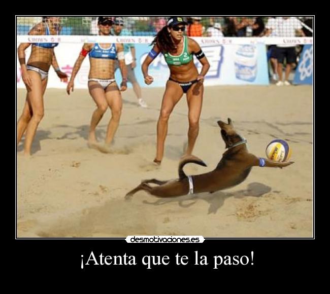 ¡Atenta que te la paso! -