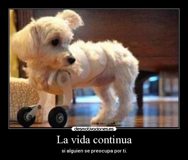La vida continua - 
