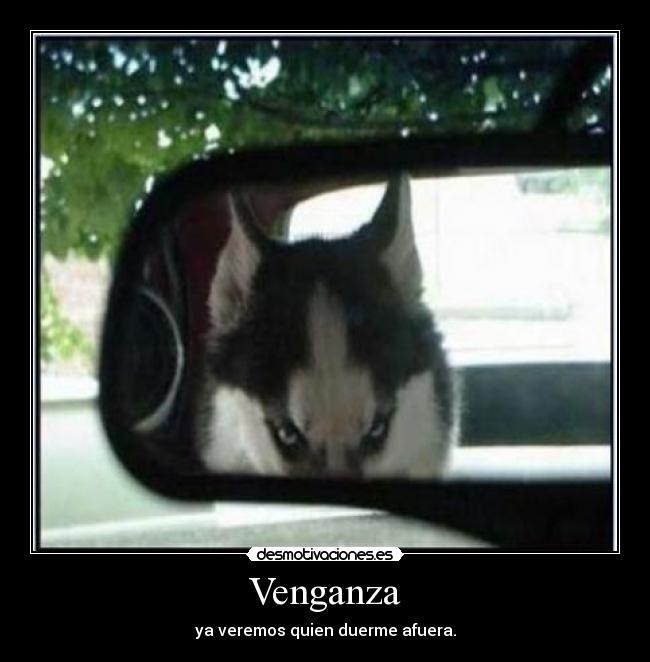 Venganza - ya veremos quien duerme afuera.