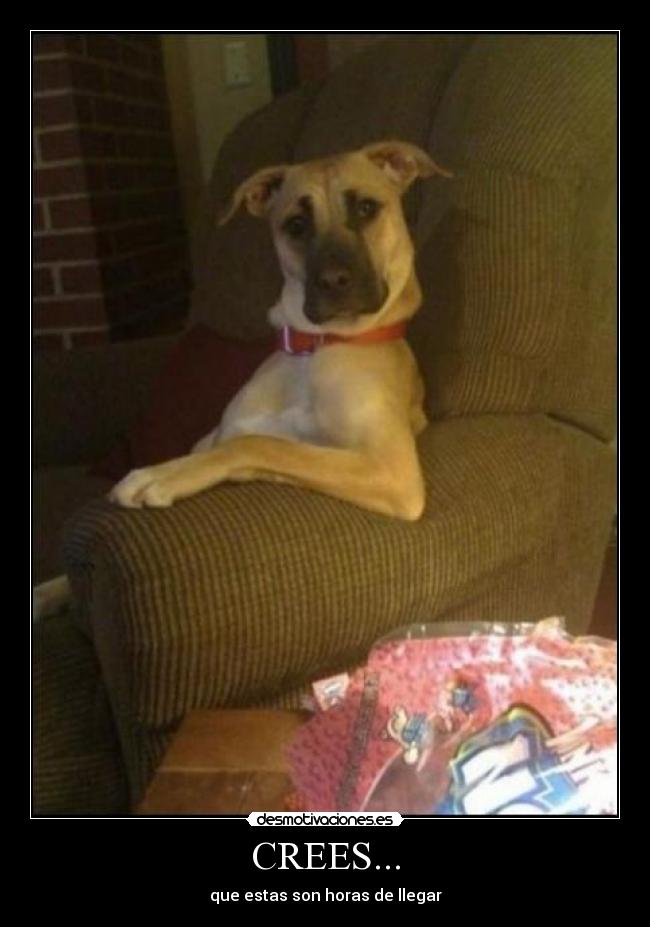 CREES... - que estas son horas de llegar