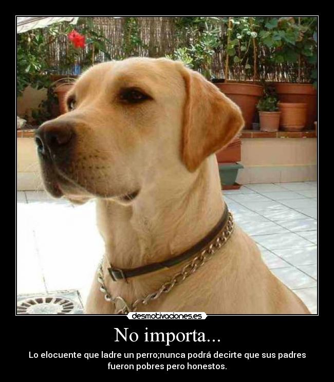 No importa... - Lo elocuente que ladre un perro;nunca podrá decirte que sus padres
fueron pobres pero honestos.