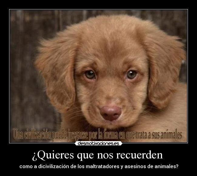 ¿Quieres que nos recuerden  - 