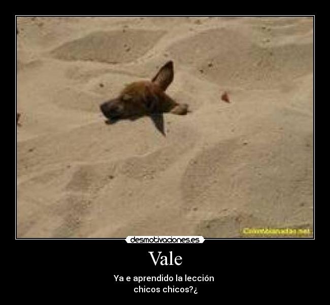 Vale - Ya e aprendido la lección
chicos chicos?¿