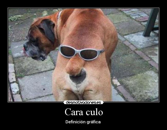 Cara culo -
