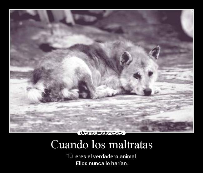 Cuando los maltratas - 