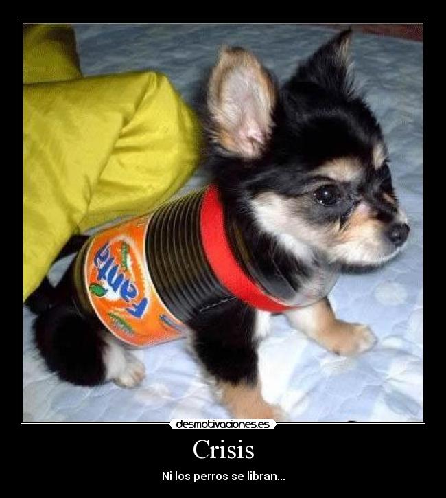 Crisis - Ni los perros se libran...