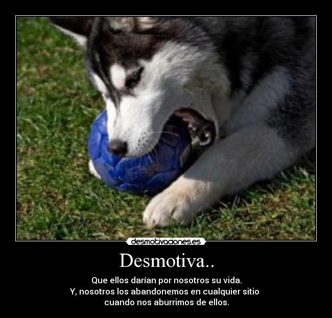 Desmotiva.. -