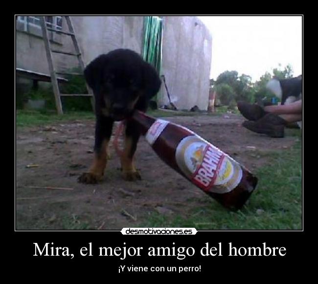 Mira, el mejor amigo del hombre -