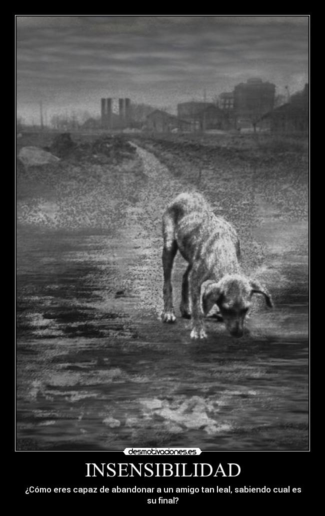 INSENSIBILIDAD -