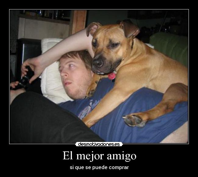 El mejor amigo - si que se puede comprar