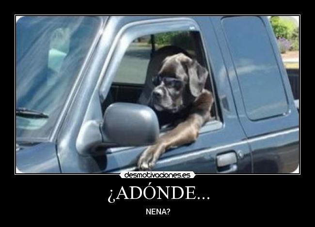 ¿ADÓNDE... - 
