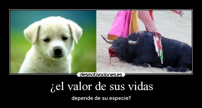 ¿el valor de sus vidas - depende de su especie?