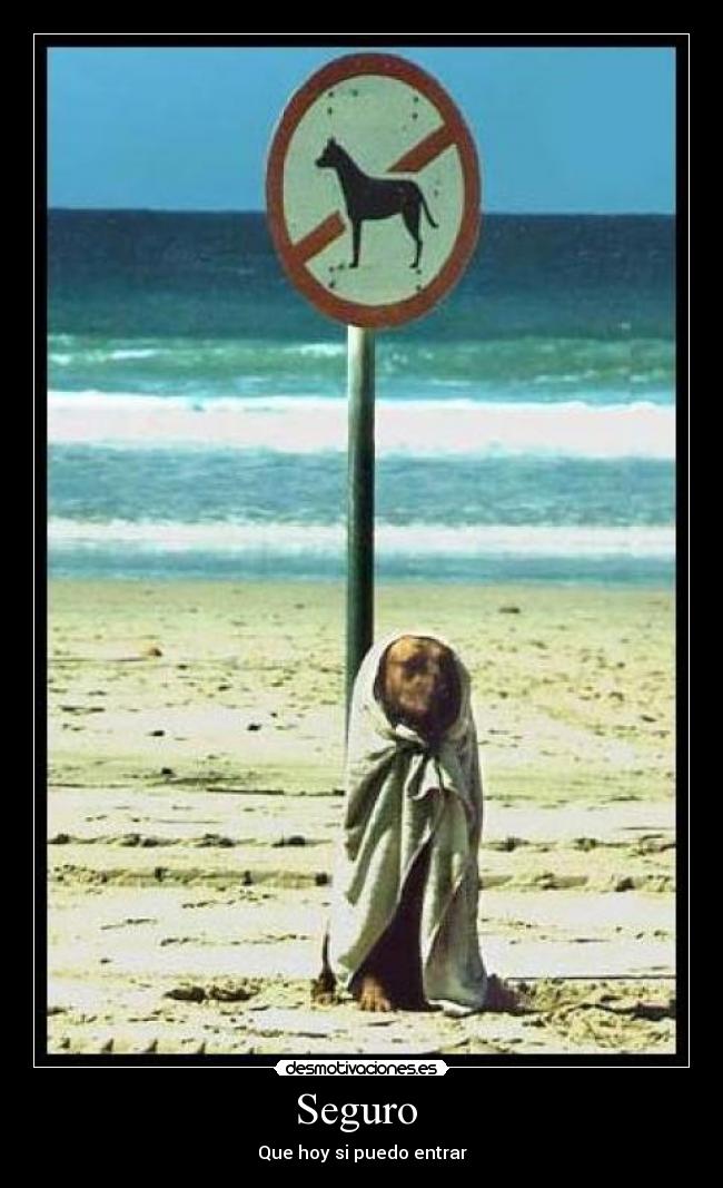 Seguro - Que hoy si puedo entrar