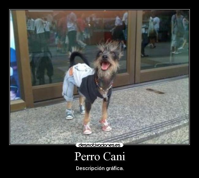 Perro Cani - Descripción gráfica.