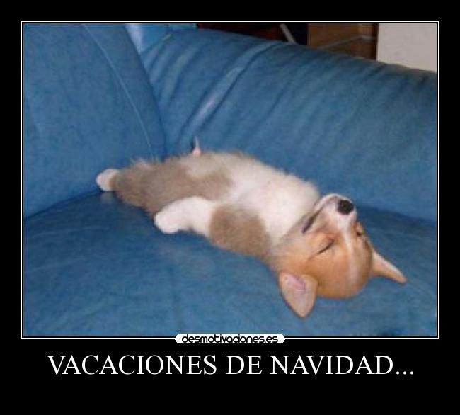 VACACIONES DE NAVIDAD... -