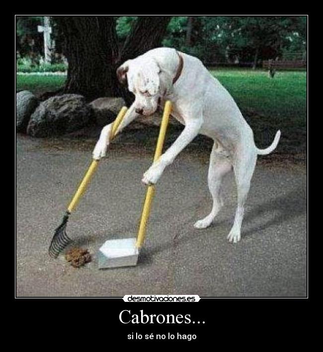 Cabrones... -