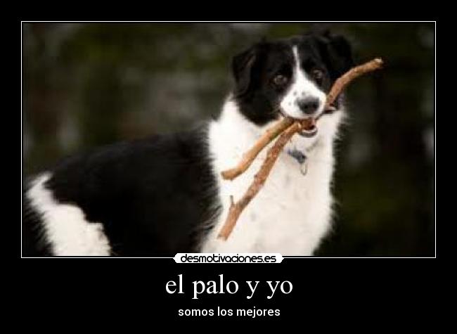 el palo y yo -