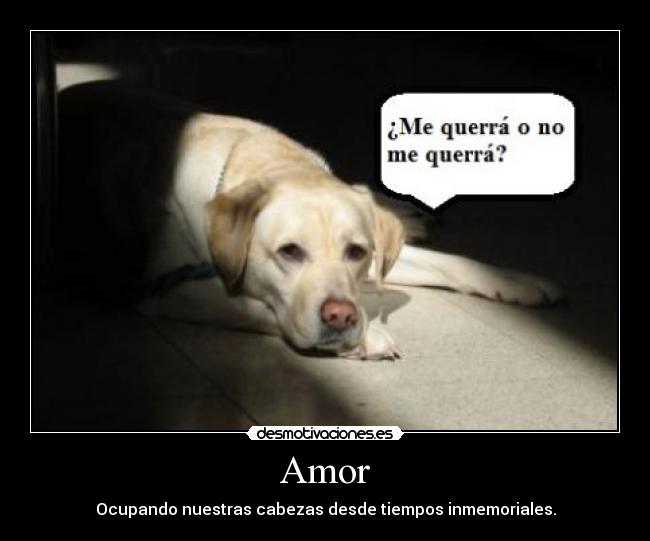 carteles amor amor desmotivaciones