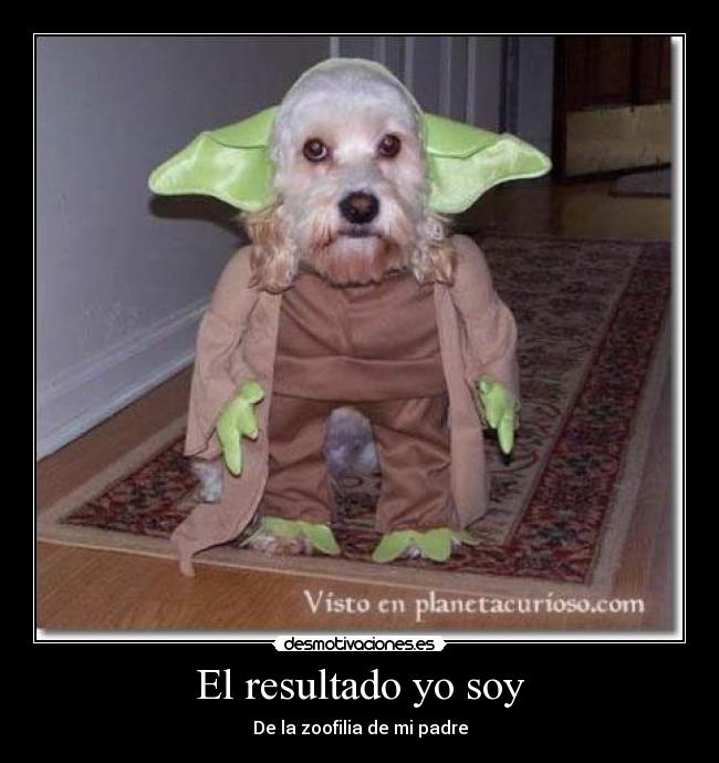 carteles yoda fuck yea star wars jaja graciosas gracioso forever alone desmotivaciones