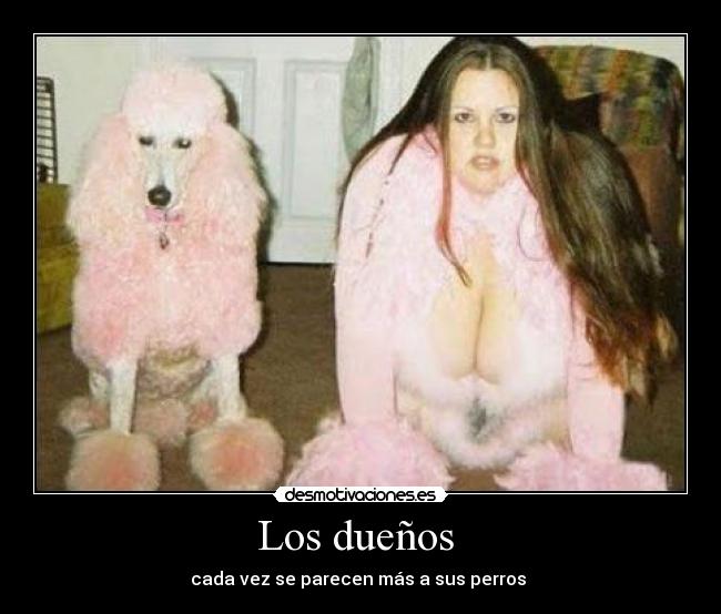 Los dueños  - cada vez se parecen más a sus perros 