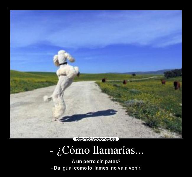 - ¿Cómo llamarías... -