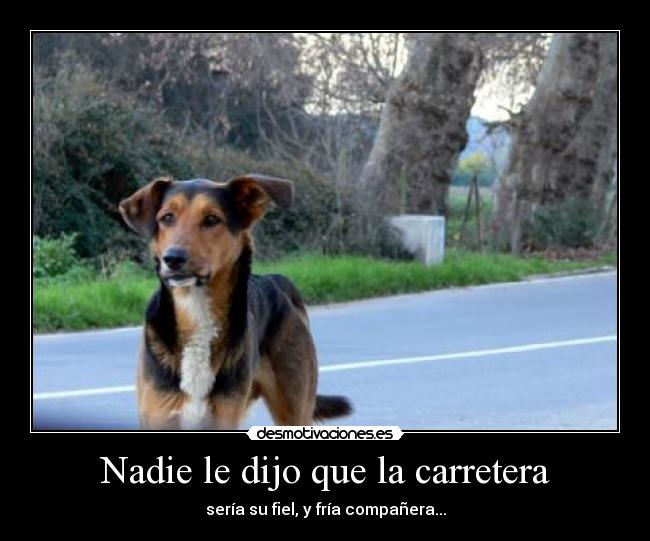 Nadie le dijo que la carretera -