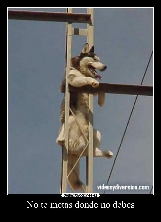 No te metas donde no debes - 