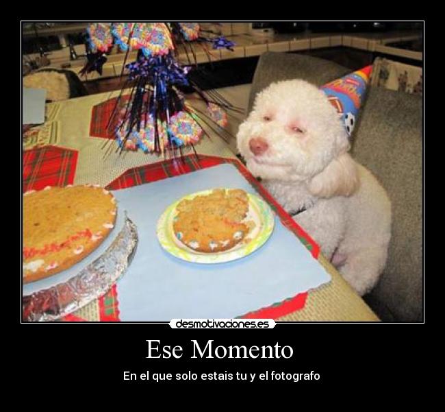 Ese Momento - En el que solo estais tu y el fotografo