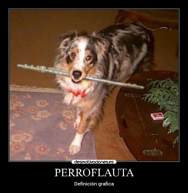 carteles perroflauta desmotivaciones