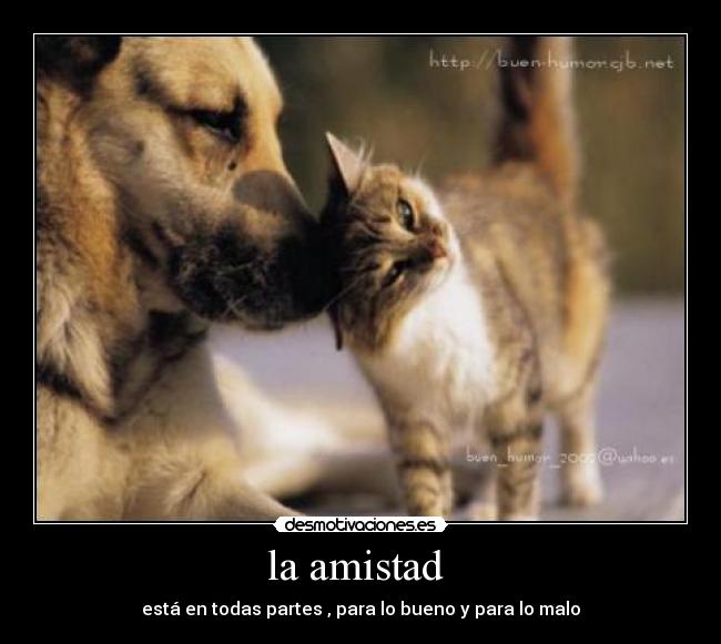 la amistad - está en todas partes , para lo bueno y para lo malo