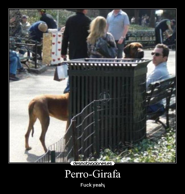 Perro-Girafa -