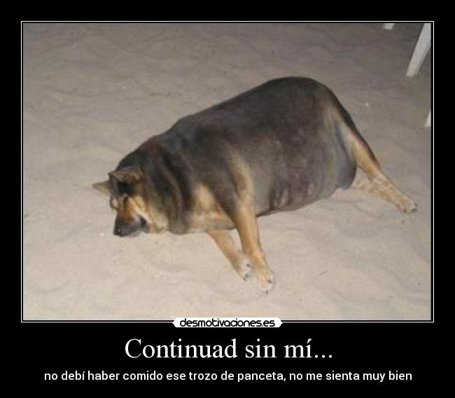 Continuad sin mí... - no debí haber comido ese trozo de panceta, no me sienta muy bien