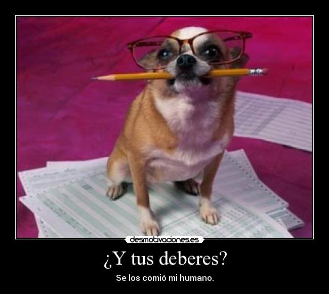 carteles deberes perro deberes comer desmotivaciones