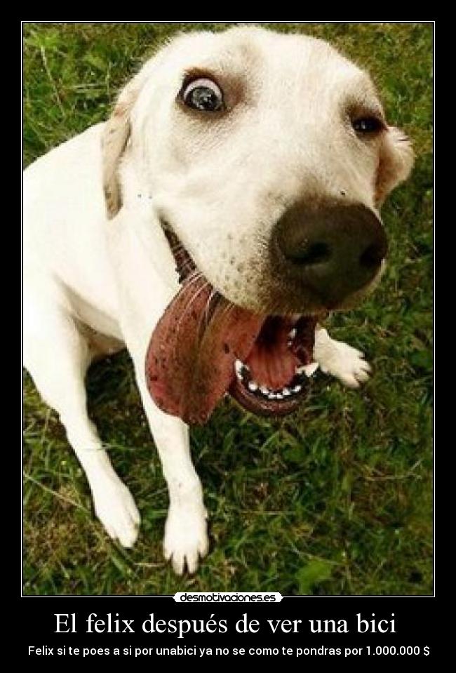 El felix después de ver una bici - Felix si te poes a si por unabici ya no se como te pondras por 1.000.000 $
