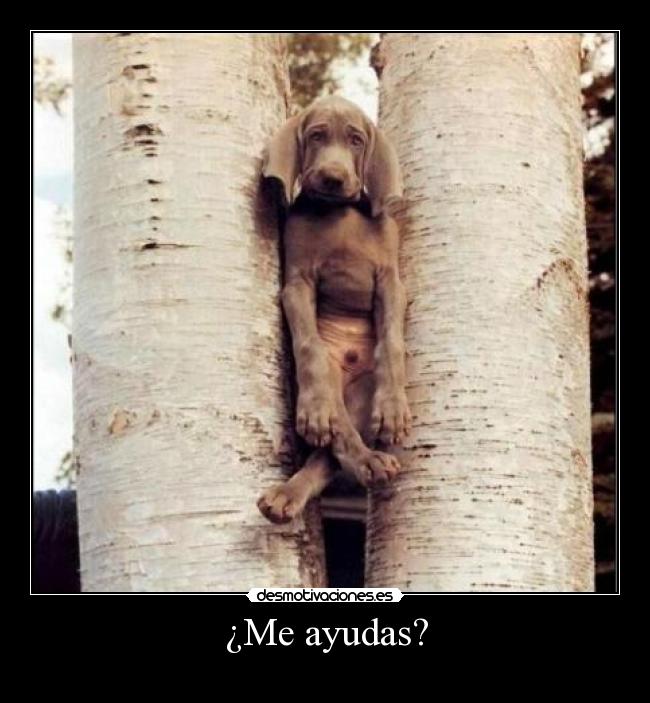 ¿Me ayudas? - 