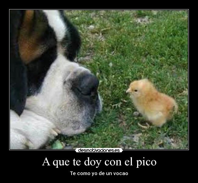 A que te doy con el pico - Te como yo de un vocao