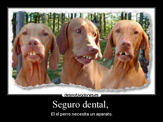Seguro dental, -