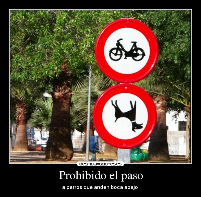 Prohibido el paso - a perros que anden boca abajo