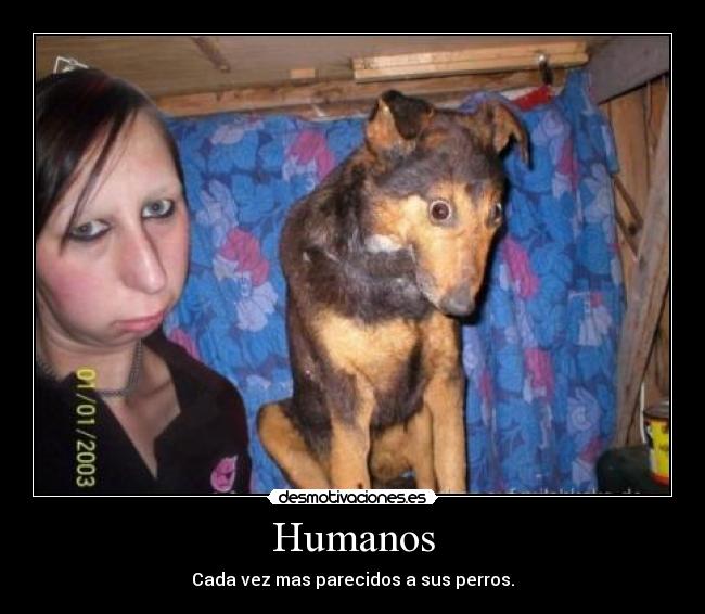 Humanos - 