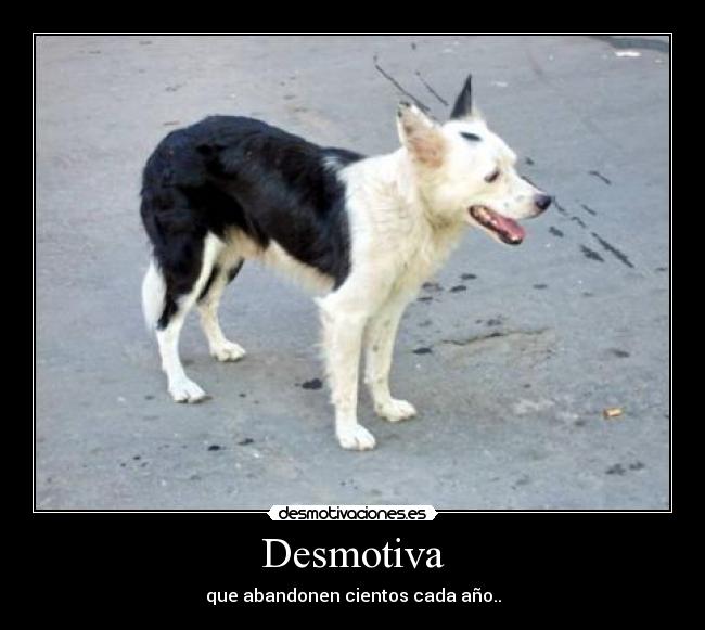 Desmotiva - que abandonen cientos cada año..