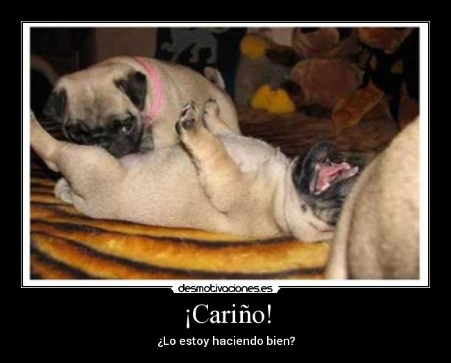 carteles carino estoy haciendo bien desmotivaciones