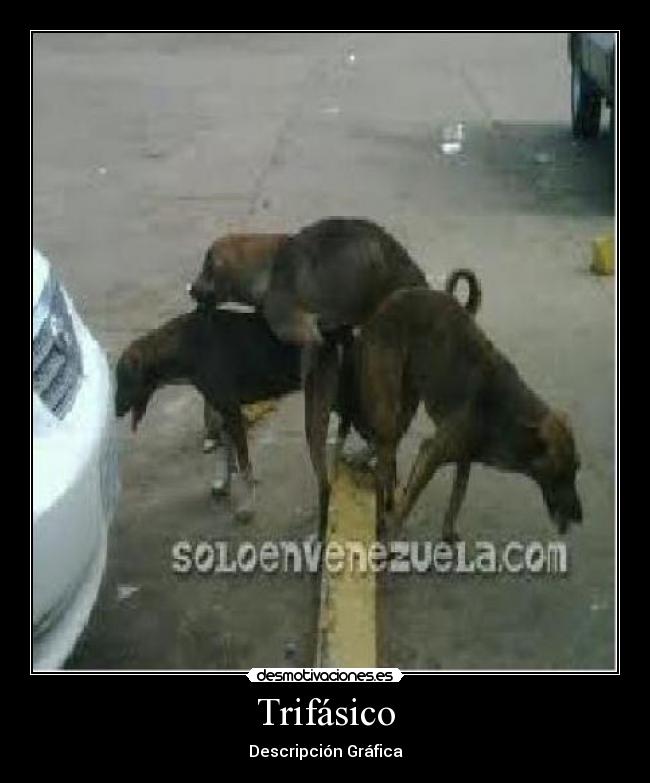 Trifásico - 