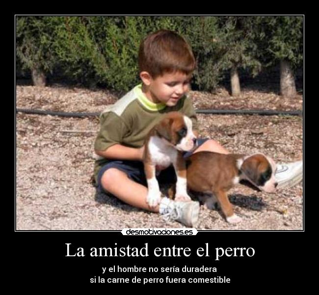 La amistad entre el perro - y el hombre no sería duradera
si la carne de perro fuera comestible