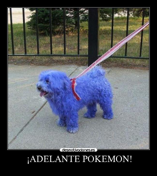 ¡ADELANTE POKEMON! - 