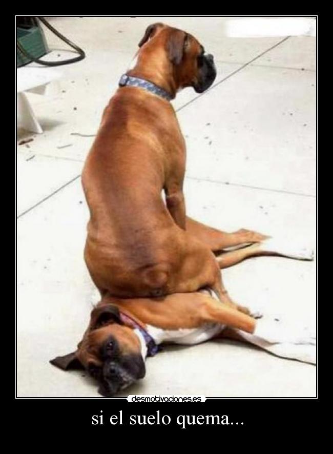 si el suelo quema... -