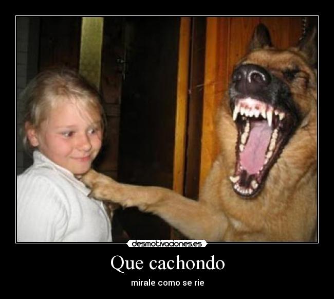 Que cachondo - 